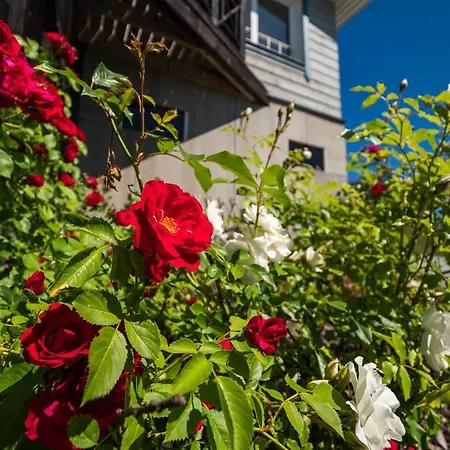 Taimela With Sauna Casa de Férias *