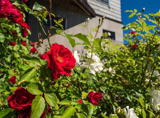 Taimela With Sauna Holiday home *